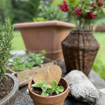 別荘 Am Weissenbach